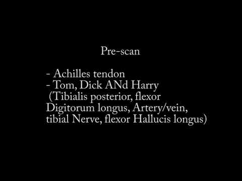 Ultrasound guided tarsal tunnel injection