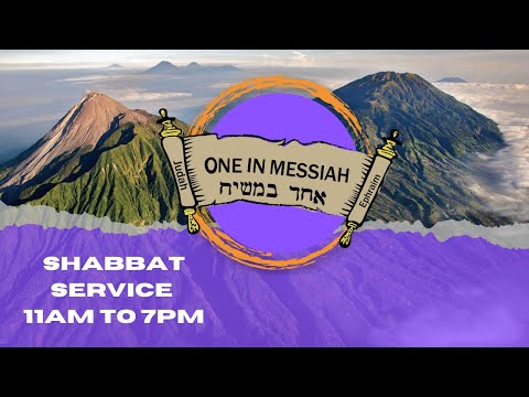 One In Messiah Torah Reading & Midrash