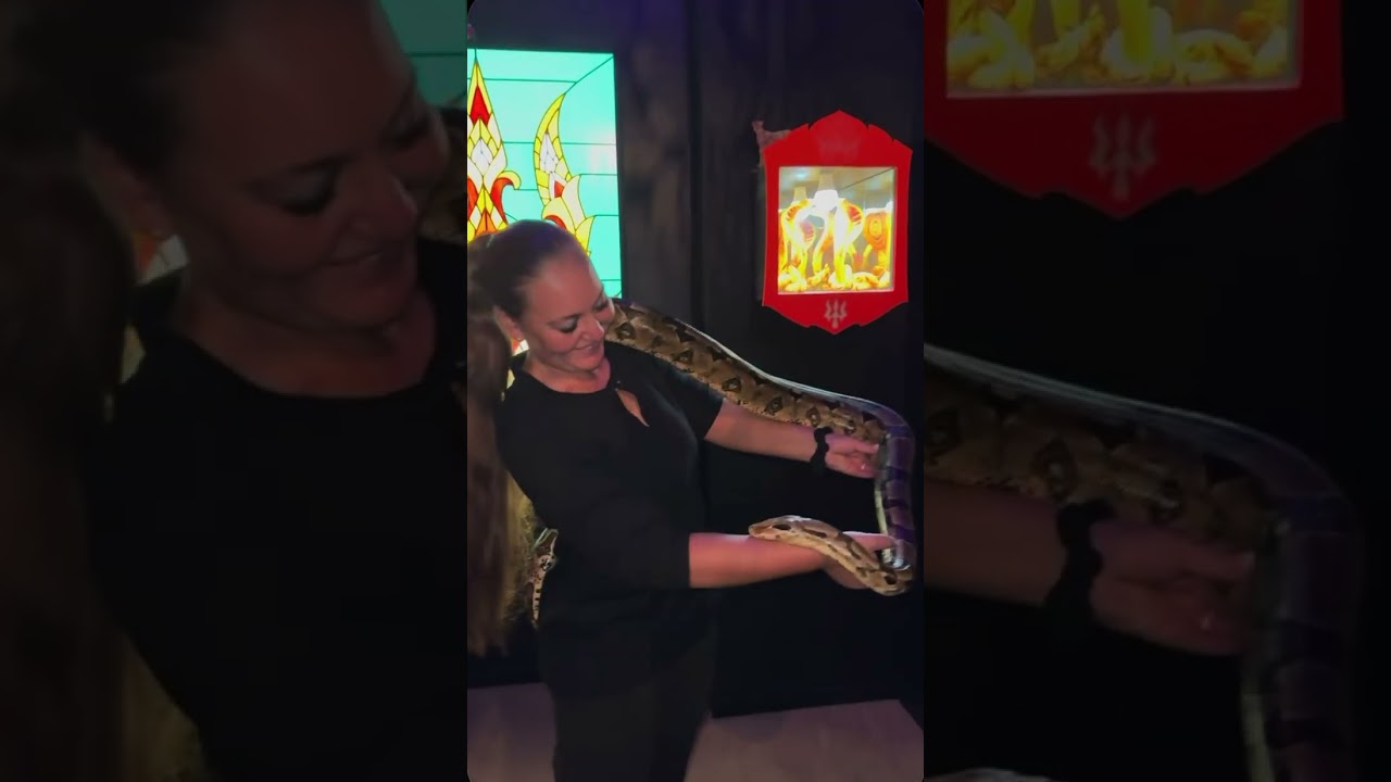 Promotional video thumbnail 1 for Romeo’s Zoo 2U