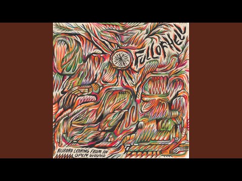 Full Of Hell Digitally Release Their “Aurora Leaking From An Open Wound