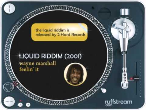 Liquid Riddim MIX (2001): T.O.K.,Future Fambo,Elephant,Lukie D,Wayne Marshall