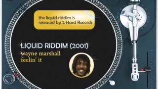 Liquid Riddim MIX (2001): T.O.K.,Future Fambo,Elephant,Lukie D,Wayne Marshall