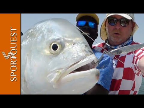 Big Game Fishing In Guinea Bissau, Africa 🇬🇼