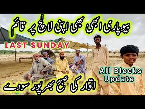 Last Sunday Of Season 2026 💔| Northern Bypass Mandi | Cow Mandi 2026