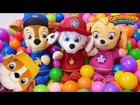 Paw Patrol Home Alone Funny Toy Learning Video for Kids!
