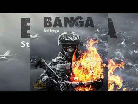 Stiinga - Banga (official audio)