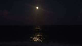 rush time and motion