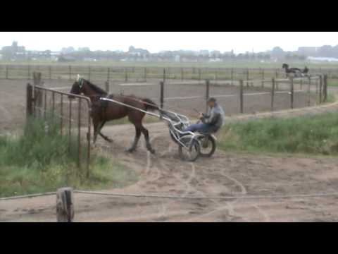 Training bij entrainement Jan van Dooyeweerd 25-7-15