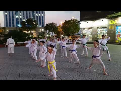 Karate Striking Techniques Training | Mastering Punches & Kicks – MonKata Dojo