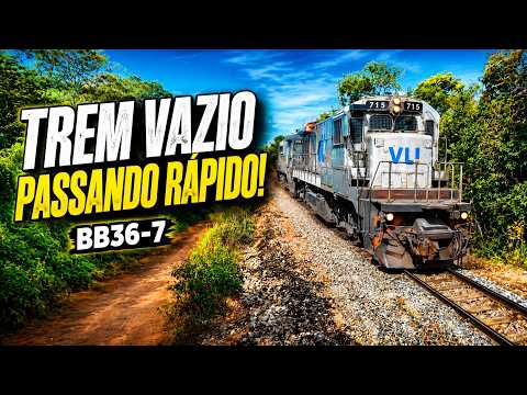 QUASE NÃO DEU TEMPO DE FILMAR! TREM MUITO RÁPIDO!