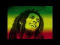 Bob Marley - Jammin (432Hz)