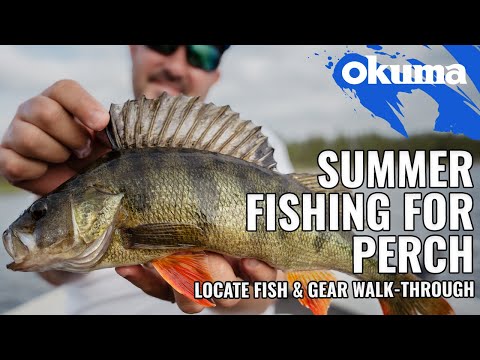 Summer fishing for PERCH! - (Locate fish & gear walk-through)