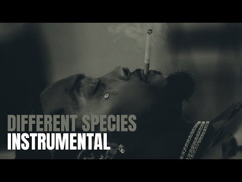 Offset - Different Species (Instrumental) ft. Gunna