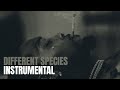 Offset Different Species Instrumental Ft Gunna