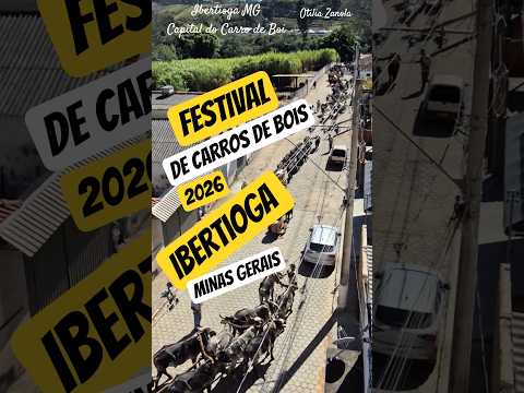 Festival de Carros de Bois 2026 Ibertioga Minas Gerais por Otília Zanola