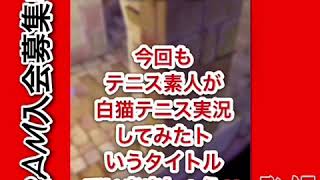 テニス素人が白猫テニス実況してみた‼️#8初の完全勝利⁉️