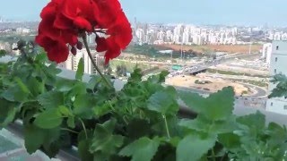 פספוסים - גינת מרזבים