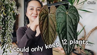 my perfectly curated *tiny* plant collection 🪴