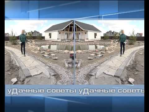 Садовые дорожки и разведение страусов