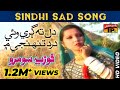 Dill Ta Gari Vai Dard Tunhje Main Fozia Soomro Sad Sindhi Song Full HD Sindhi Song