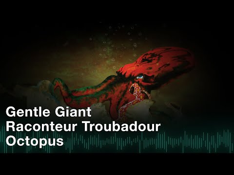 Raconteur Troubadour video thumbnail