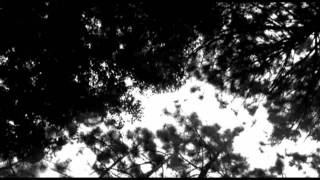 Karl S. Williams - White Hotel