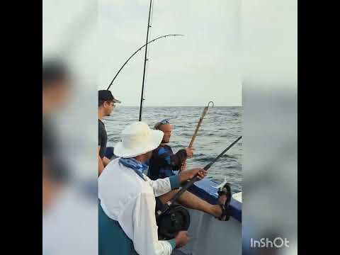 Deep sea fishing in Durban on Simply the best fishing charters.