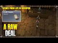 A Raw Deal | Scenes From Life in Meropide | World Quests & Puzzles |【Genshin Impact】