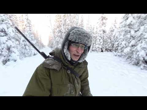 Back on my Trapline, Checking Traps, -30c