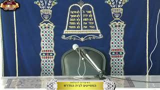 בית המדרש "תורת דוד" ¤ שידור חי ¤ י"ט אדר תשפ"ו (8.3.2025) (מוסדות תורת דוד) - התמונה מוצגת ישירות מתוך אתר האינטרנט יוטיוב. זכויות היוצרים בתמונה שייכות ליוצרה. קישור קרדיט למקור התוכן נמצא בתוך דף הסרטון