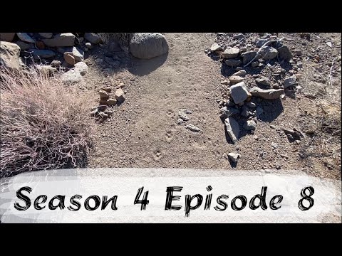 S4 E8:  How to Identify Bobcat Tracks - Desert Wolverines - Another Bobcat