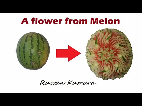 A flower from Melon