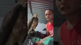 Download lagu MANINGG BONDING GLOVE mp3