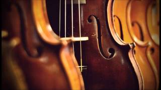 Vivaldi - Concerto per due violini