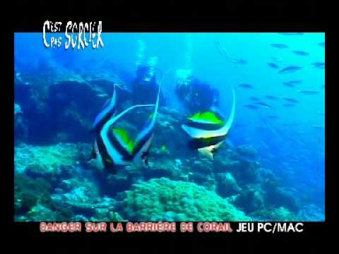C'est pas Sorcier : Danger sur la Barri�re de Corail PC