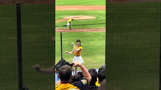 【Passion Sisters】#芊芊 ドミニカVS中信兄弟@桃園棒球場 20241110 #台湾チア #cheerdance #cheerleading #passionsisters