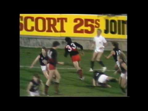 1981 Escort Cup Grand Final Carlton V Essendon