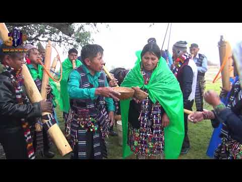 ✨🎈 LOS ÉXITOS DE POROMA - HABAS ARBEJAS TIKITA (Video Oficial 2026) #MusicaBoliviana