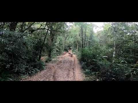 Trilha do Verde 18/04/20 - Braaap Cotia