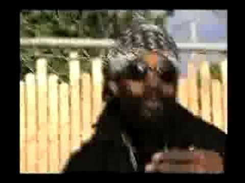 Dreams by Rankin Scroo