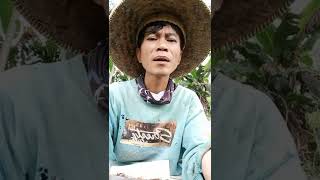 Download lagu Story WA Kata-kata Mas Pailun Lucu #shorts mp3