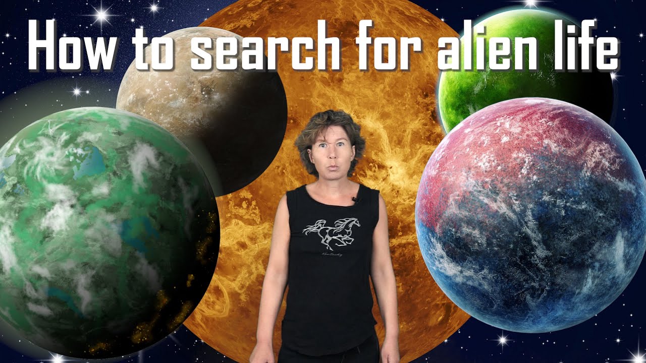 Current and Upcoming Searches for Extraterrestrial Life