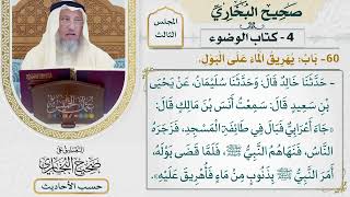 [221] حديث أنس في قصة الأعرابي [كتاب الوضوء - باب صب الماء على البول في المسجد] - عثمان الخميس