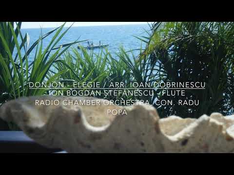@ionbogdanstefanescu  Donjon - Elegie