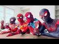 Spider Man Into The Spider Verse 2026 Avengers Doomsday Captain American Spiderman Thor