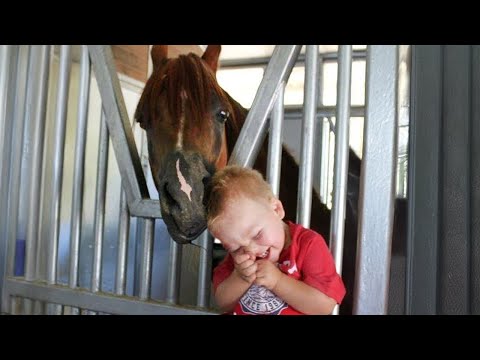Moment de tendresse entre un petit ami et un cheval ❤️