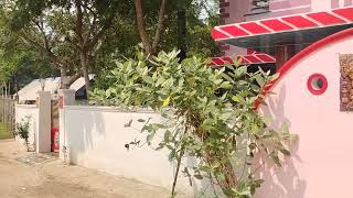  Agricultural Land for Sale in Elavangargudi, Thiruvarur