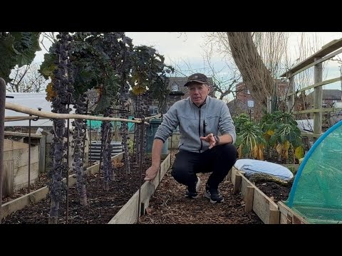 Dec. Garden Tour: Winding Down for Christmas Harvests