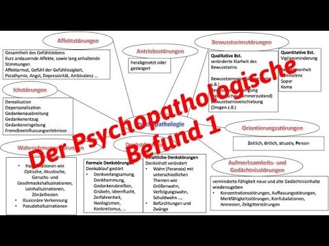 Heilpraktiker Psychotherapie _ Der Psychopathologische Befund 1