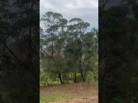 Finca Llanogrande, Gacheta, Cundinamarca